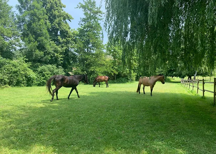 Gite Equestre Drome Des Collines